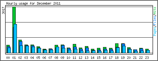 Hourly usage
