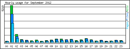 Hourly usage