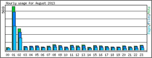 Hourly usage