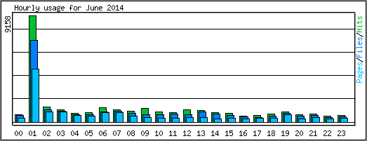 Hourly usage