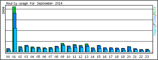 Hourly usage