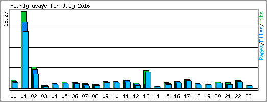 Hourly usage