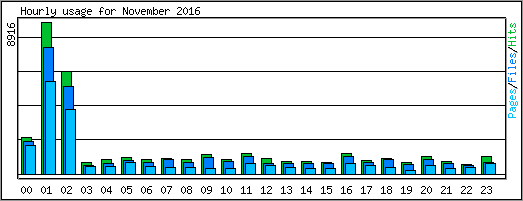 Hourly usage