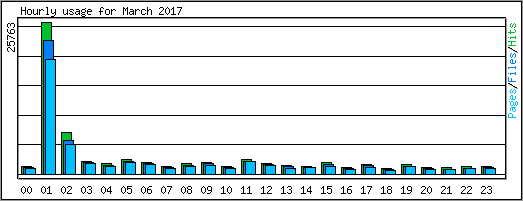 Hourly usage
