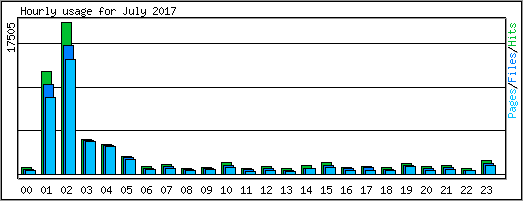 Hourly usage