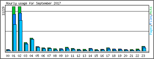 Hourly usage