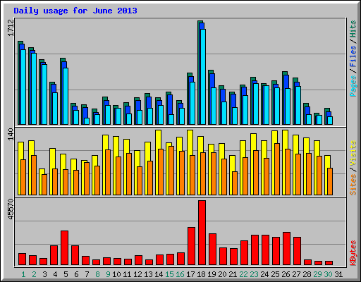 Daily usage for June 2013