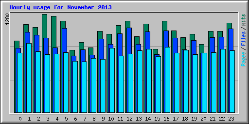 Hourly usage for November 2013