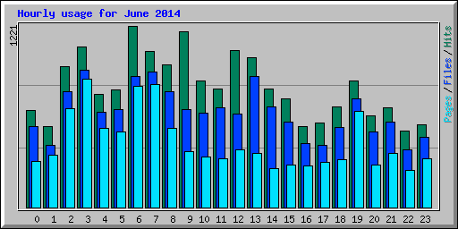 Hourly usage for June 2014