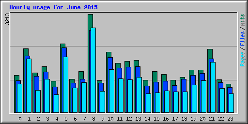 Hourly usage for June 2015