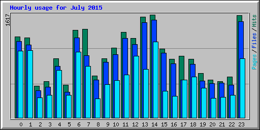 Hourly usage for July 2015