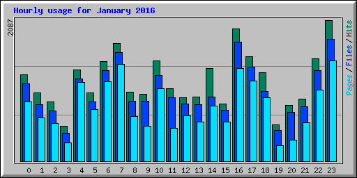 Hourly usage for January 2016