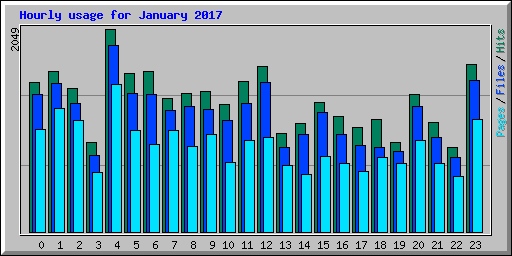 Hourly usage for January 2017