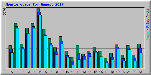 Hourly usage for August 2017